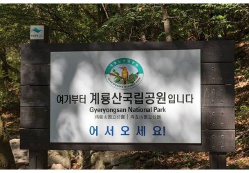 [우수조달] 계룡산국립공원